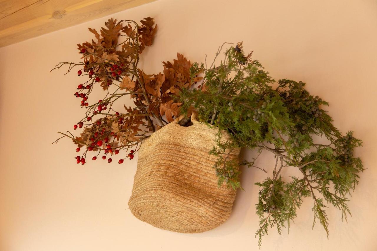 La Galiana Loft Nature Casarejos المظهر الخارجي الصورة